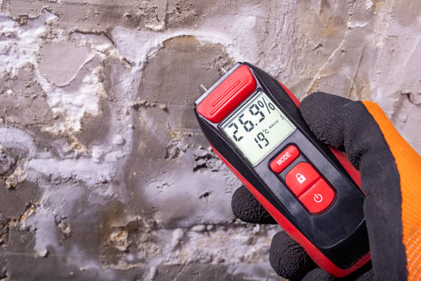 Best Water Damage Restoration  in Westminster, TX