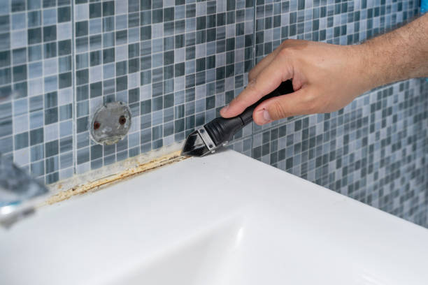 Best Mold Remediation Experts  in Westminster, TX